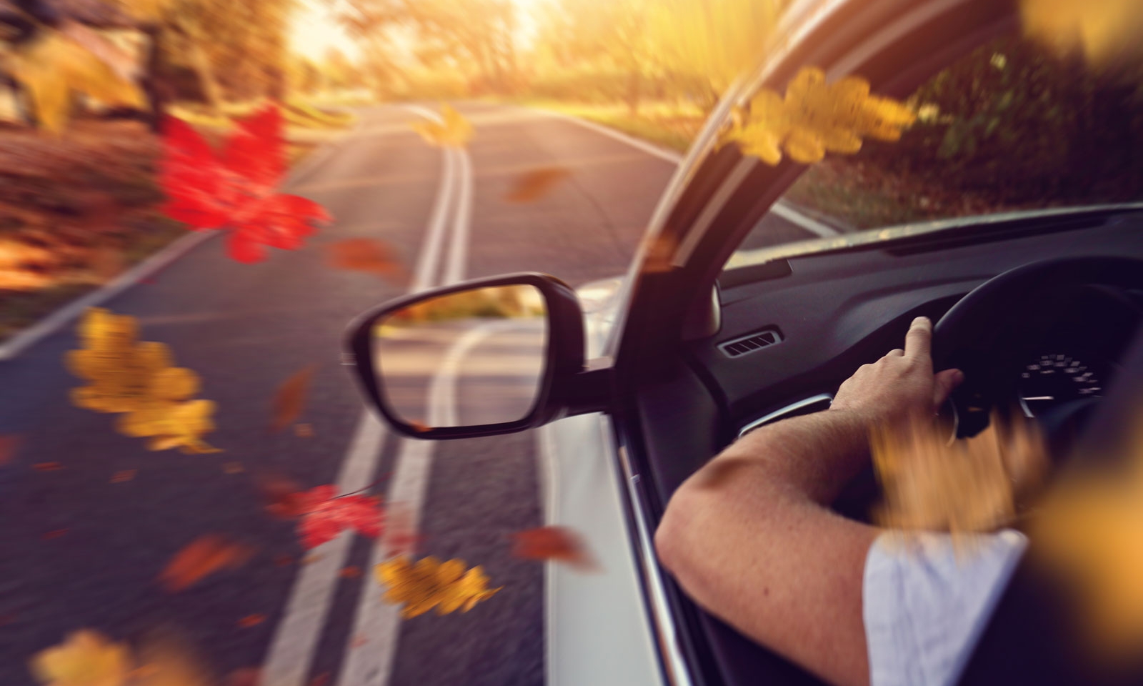Auto Insurance Solutions