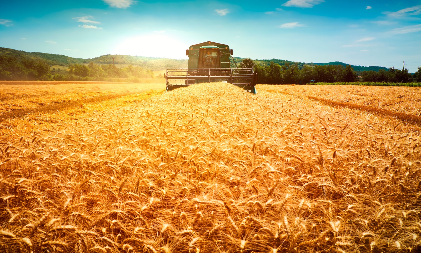 Farm Insurance Solutions