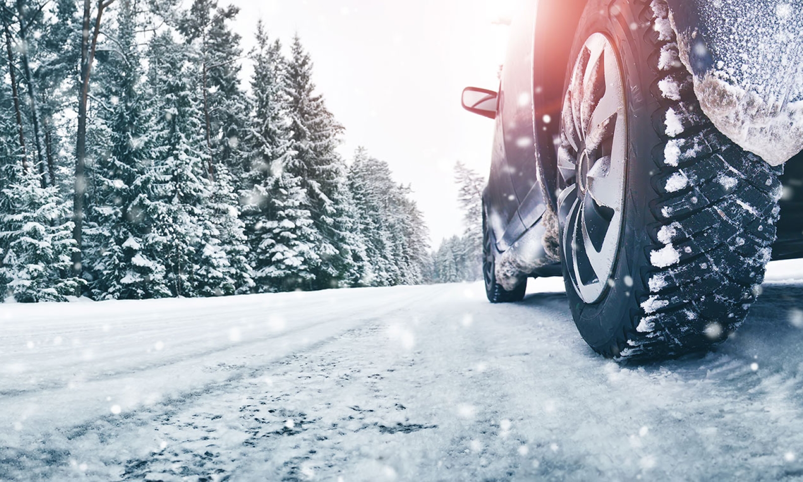 Auto Insurance Solutions