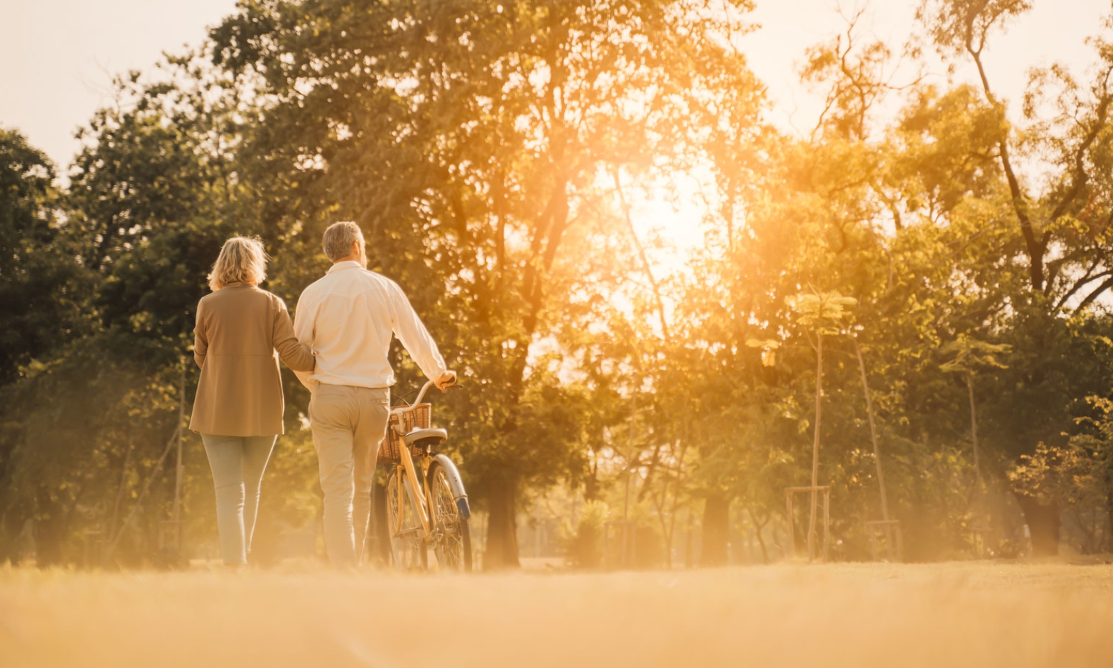 Medicare Enrollment