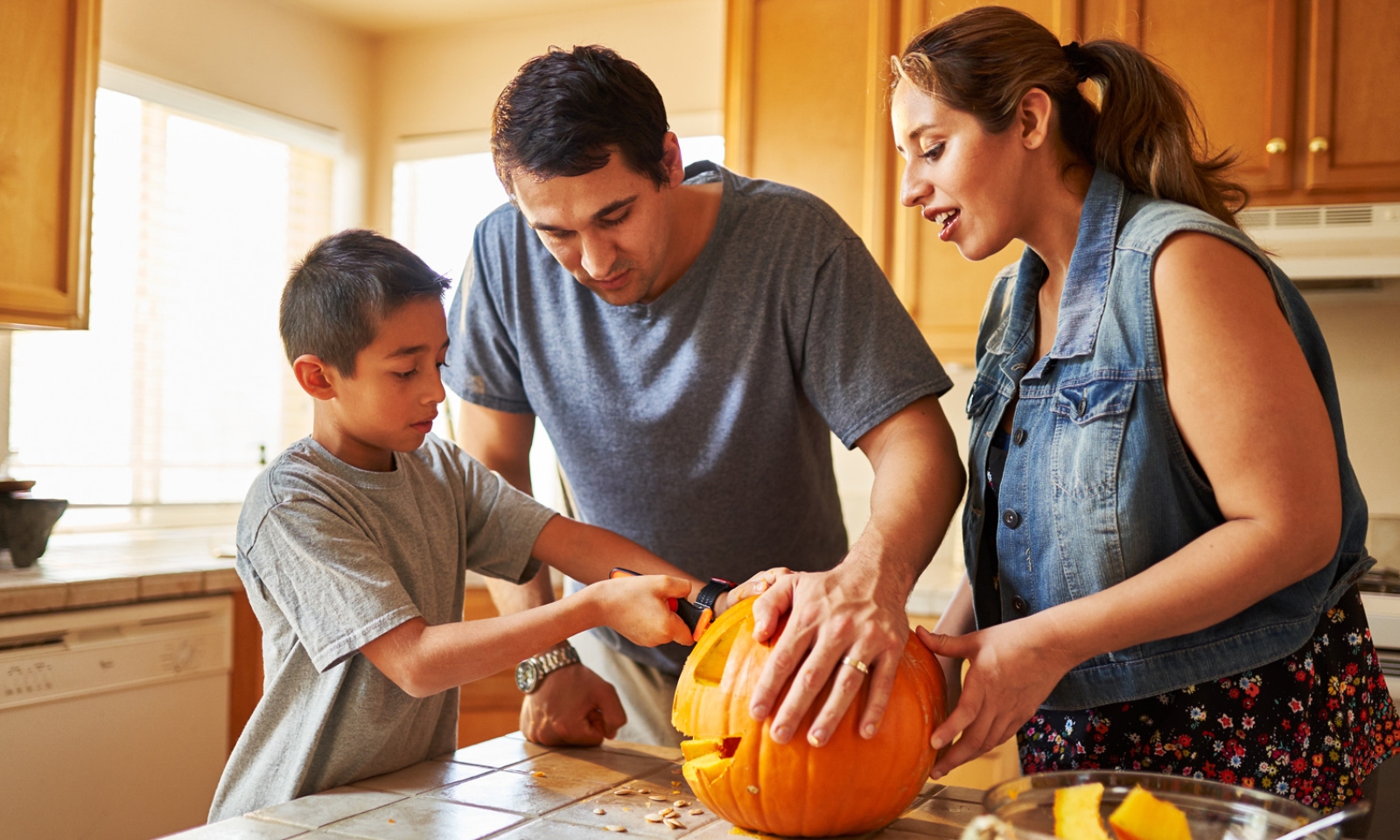 Home Insurance Solutions
