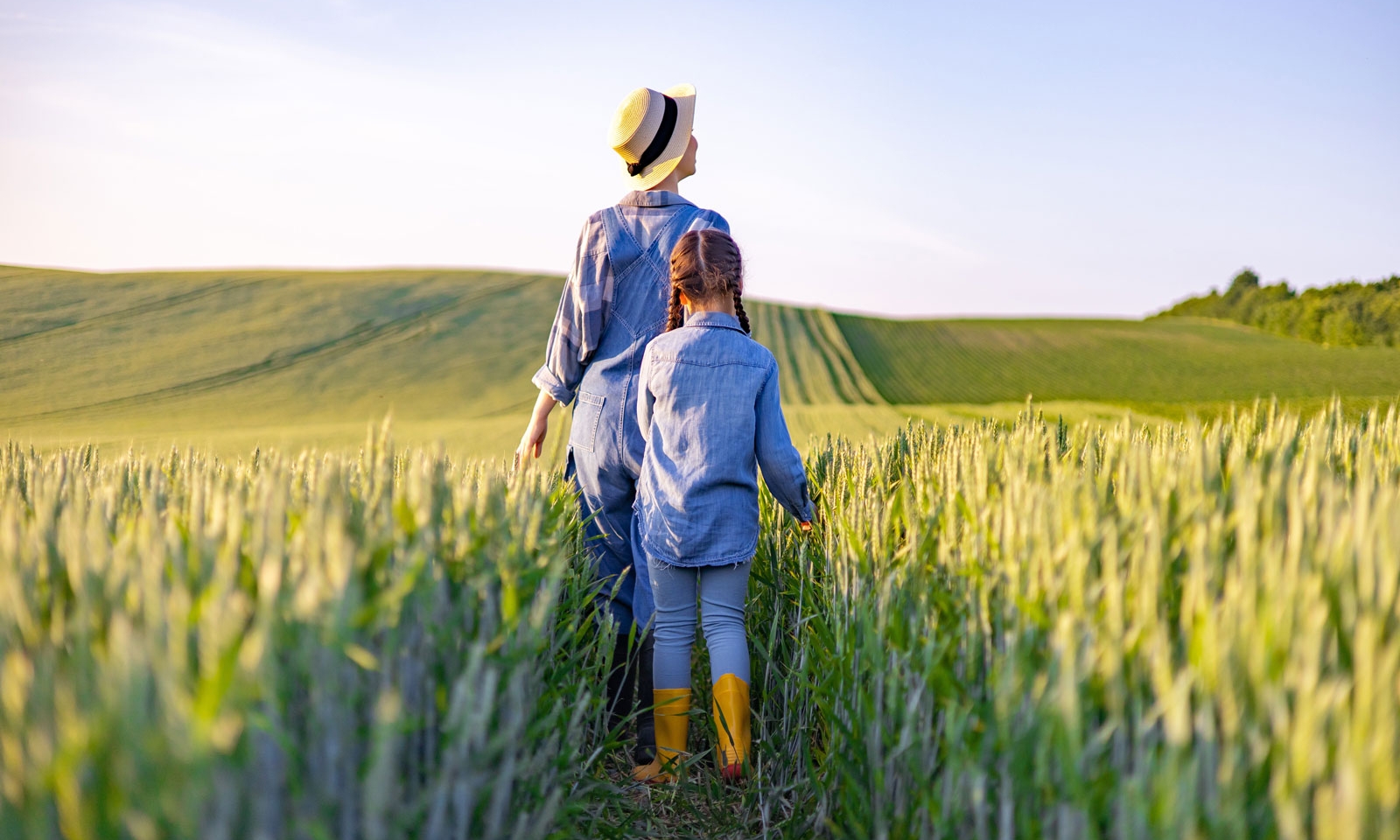 Life Insurance Solutions